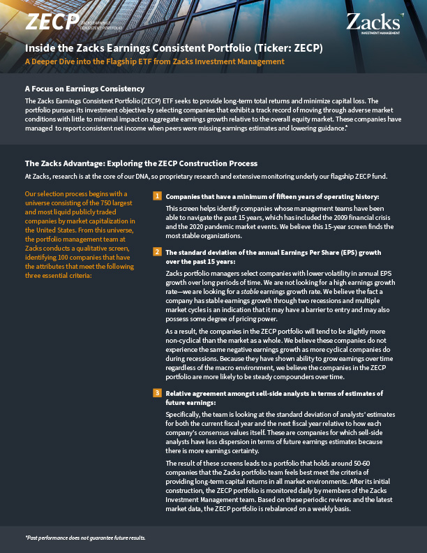 ZECP Portfolio Construction Process: Financial Professionals